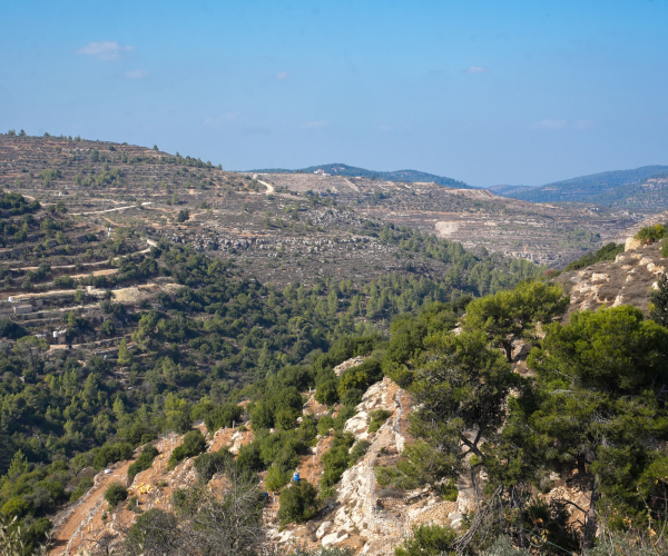 وادي المخرور